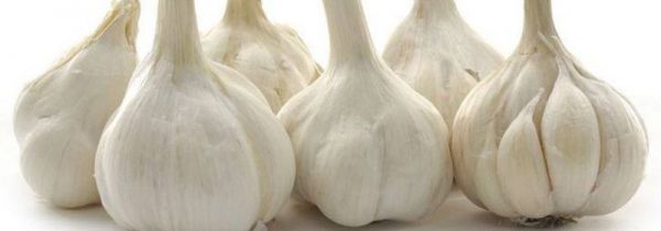 吃大蒜对眼睛有害吗