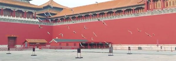 故宫是哪个朝代建的