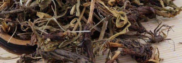 甘松在卤水中的作用