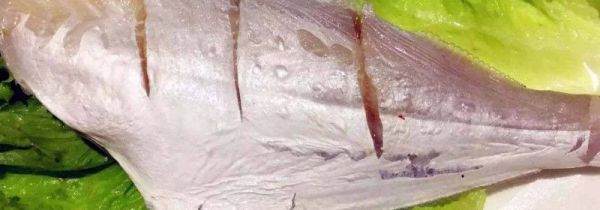 耗儿鱼哪些人不能吃