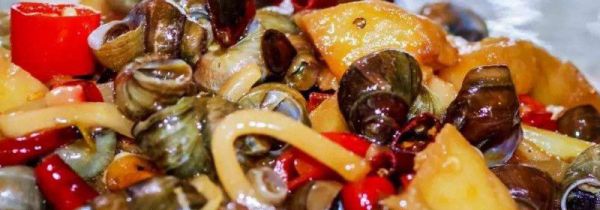 山坑石螺的功效与作用