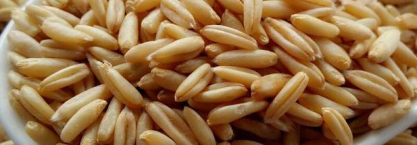 燕麦米可以泡一晚上吗