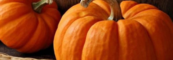 南瓜上火还是下火