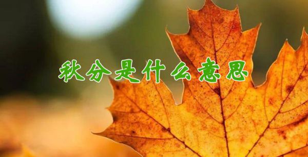 秋分是什么意思