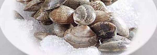 海边如何判断有花蛤