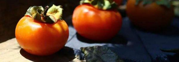 柿子和苹果能不能同时吃