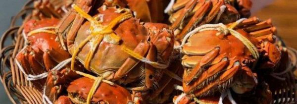 大闸蟹垃圾分类