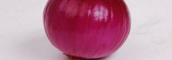 洋葱可以和白萝卜一起吃吗?