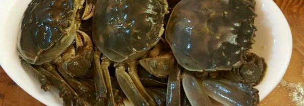 毛蟹不能与什么食物同吃