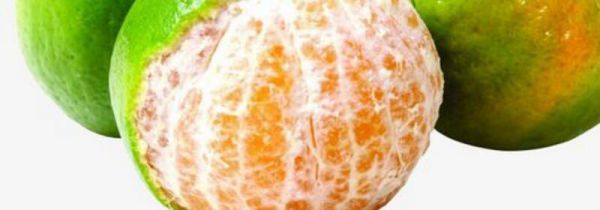 橘子外面的白丝是什么