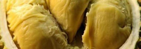 榴莲和羊肉可以一起吃吗