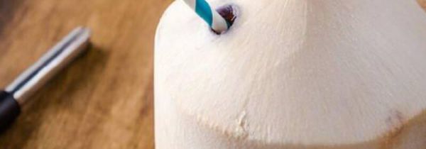 椰青里面的白肉能吃吗