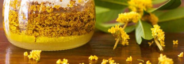 桂花蜜做好了怎么保存