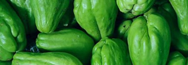 佛手瓜有没有毒