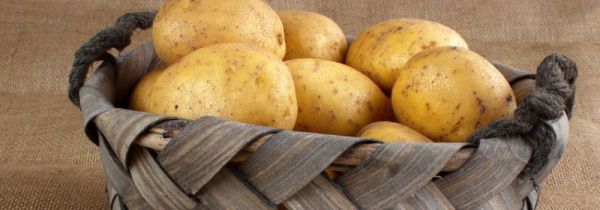 士豆不能和什么一起吃