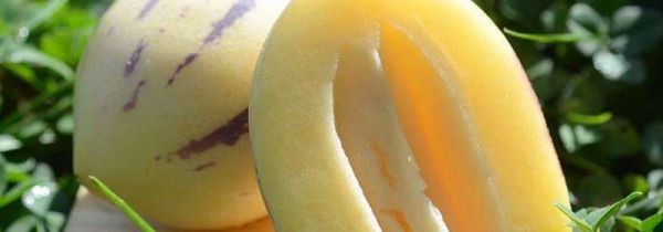 人参果吃多了会上火吗