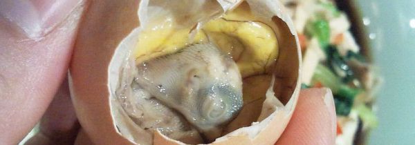 吃毛鸡蛋的好处和危害