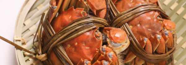 吃死螃蟹有什么危害