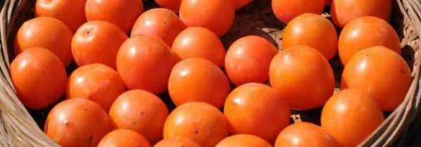 柿子和甘蔗可以一起吃吗