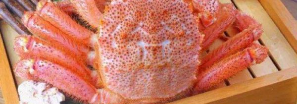 吃了毛蟹不能吃什么东西