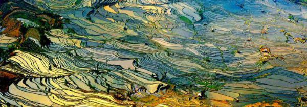 云南到重庆多少公里