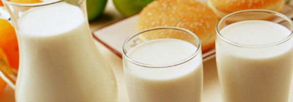 乳酸菌是细菌还是真菌