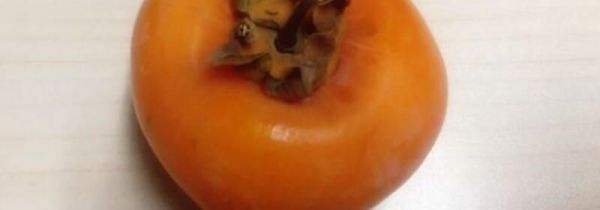 柿子可以和橙子一起吃么