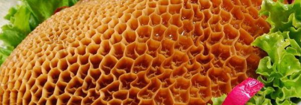 为什么牛肚越煮越硬