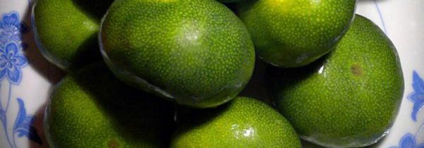 柑子是上火还是去火