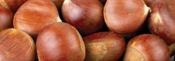 板栗和橘子能同时吃吗