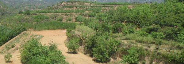 山西中阳县在哪里