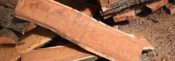 枣木怎么处理不裂