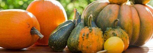 南瓜花生米可以同食吗