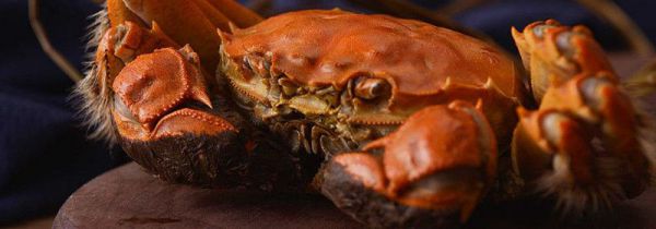 羊汤和螃蟹可以一起吃吗