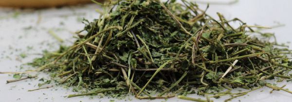 什么人不适合喝七叶胆