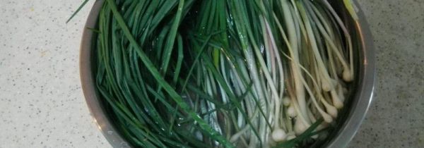 什么人不能吃野蒜