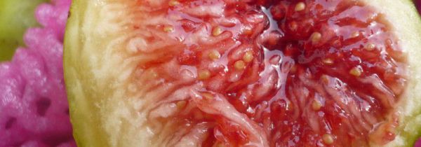 红皮无花果和绿皮无花果的区别