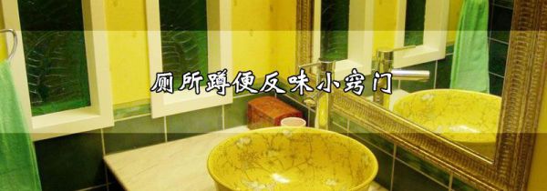 厕所蹲便反味小窍门