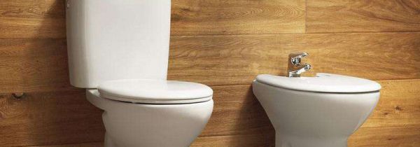 怎么判断马桶反味