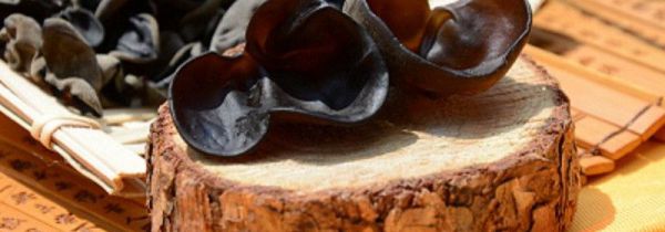 木耳菜禁忌人群