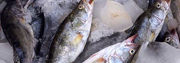 超市冰块上的鱼是新鲜的吗