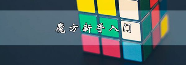 魔方新手入门