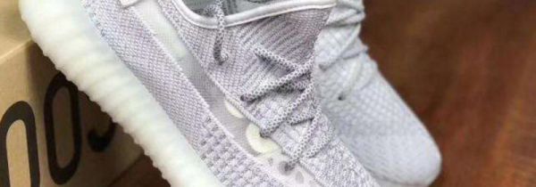 椰子满天星和天使的区别