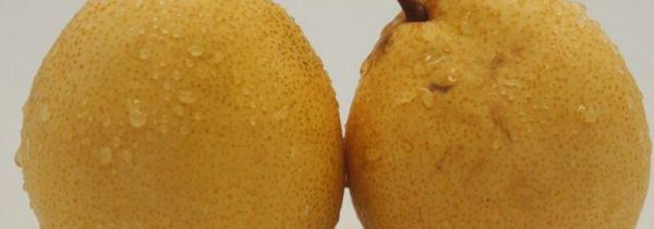 梨和南瓜可以一起吃吗