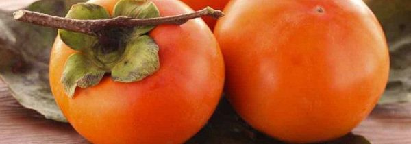 吃柿子后能吃香蕉和酸奶吗