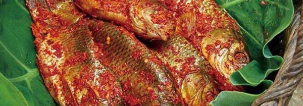 夏天腌鱼不臭高招