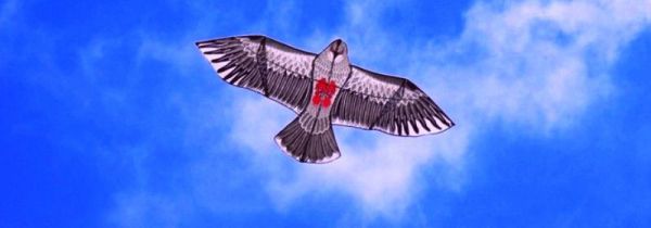 风筝为什么是对称的