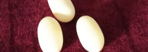 吃乌龟蛋的禁忌