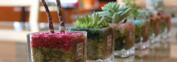 土壤疏松小窍门