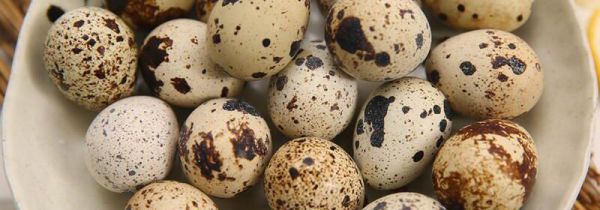 吃鹌鹑蛋能喝牛奶吗